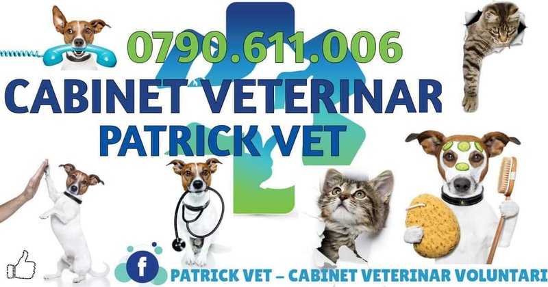 Patrick Vet - Cabinet veterinar, Salon cosmetica animale